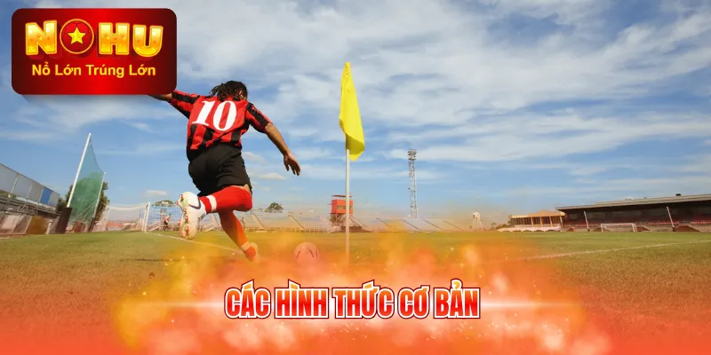 Các hình thức cơ bản