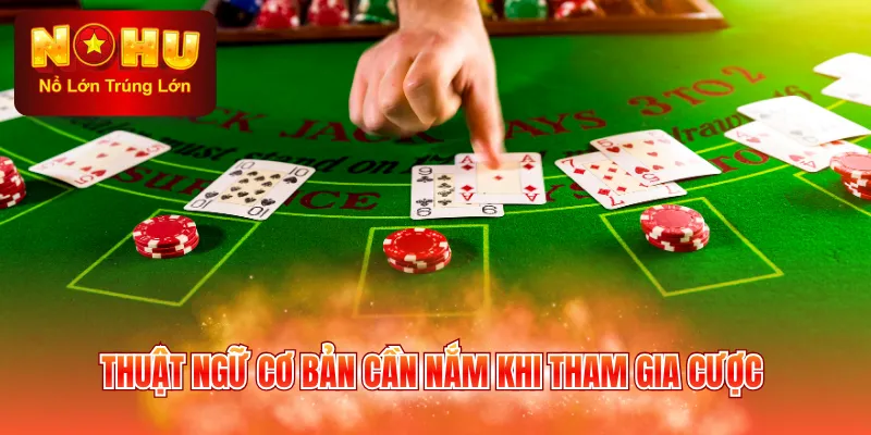 Thuật ngữ cơ bản cần nắm khi tham gia cược